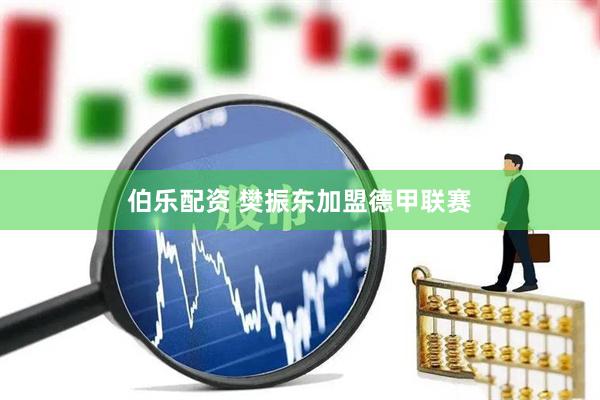 伯乐配资 樊振东加盟德甲联赛
