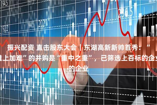 振兴配资 直击股东大会｜东湖高新新帅首秀：“难上加难”的并购是“重中之重”，已筛选上百标的企业