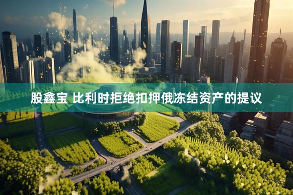 股鑫宝 比利时拒绝扣押俄冻结资产的提议