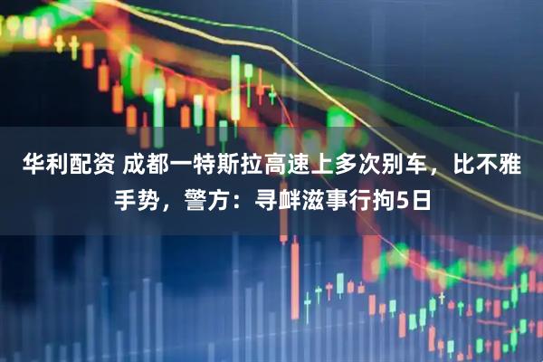 华利配资 成都一特斯拉高速上多次别车，比不雅手势，警方：寻衅滋事行拘5日