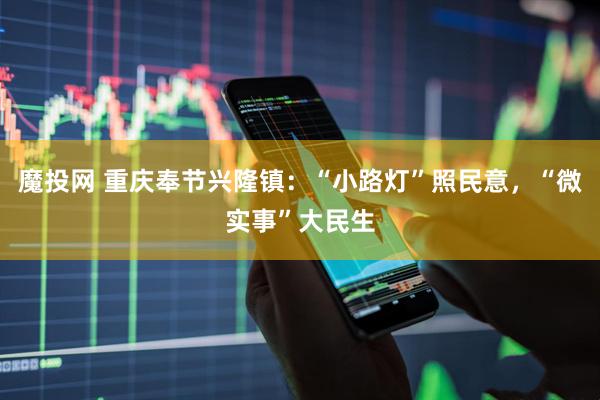 魔投网 重庆奉节兴隆镇：“小路灯”照民意，“微实事”大民生