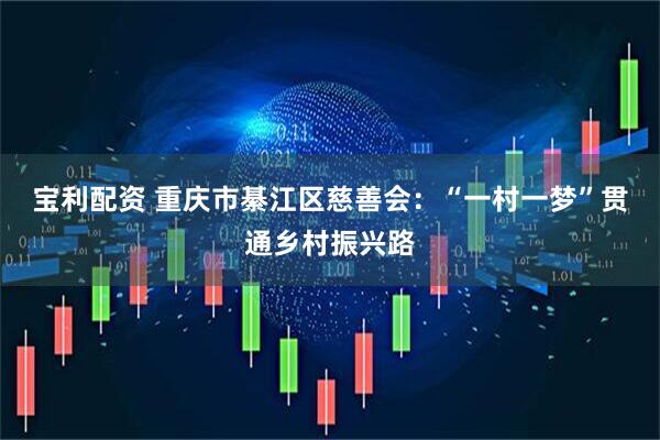 宝利配资 重庆市綦江区慈善会：“一村一梦”贯通乡村振兴路