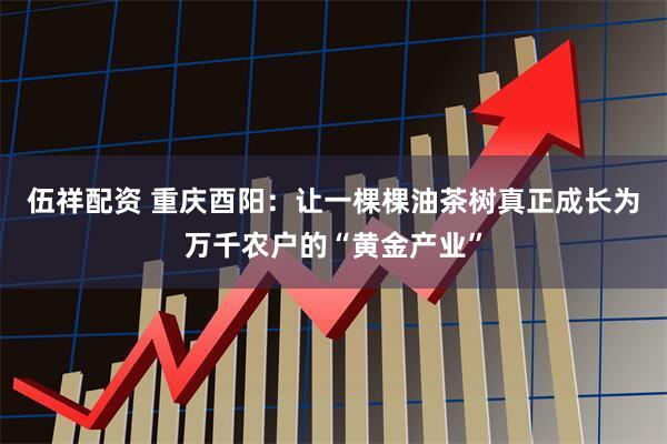 伍祥配资 重庆酉阳：让一棵棵油茶树真正成长为万千农户的“黄金产业”