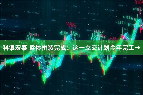 科银宏泰 梁体拼装完成！这一立交计划今年完工→