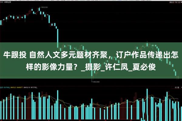 牛跟投 自然人文多元题材齐聚，订户作品传递出怎样的影像力量？_摄影_许仁凤_夏必俊