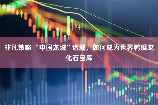 非凡策略 “中国龙城”诸城，如何成为世界鸭嘴龙化石宝库