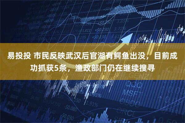 易投投 市民反映武汉后官湖有鳄鱼出没，目前成功抓获5条，渔政部门仍在继续搜寻