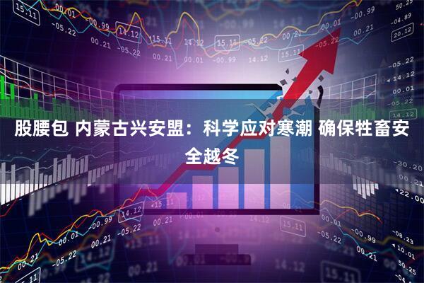 股腰包 内蒙古兴安盟:科学应对寒潮 确保牲畜安全越冬