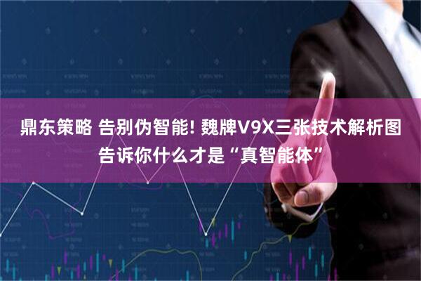 鼎东策略 告别伪智能! 魏牌V9X三张技术解析图告诉你什么才是“真智能体”