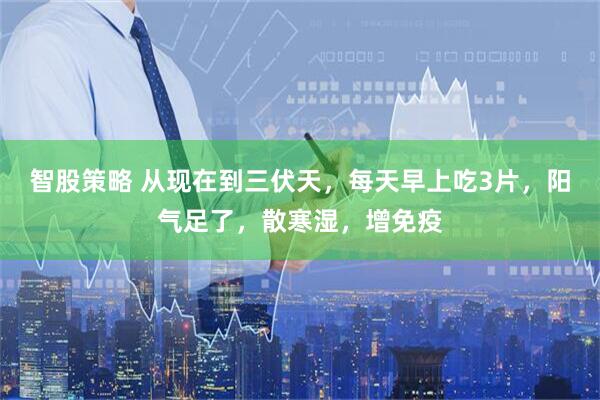 智股策略 从现在到三伏天，每天早上吃3片，阳气足了，散寒湿，增免疫